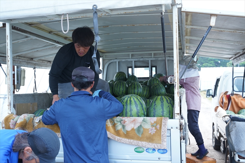 株式会社ファーム山脇
